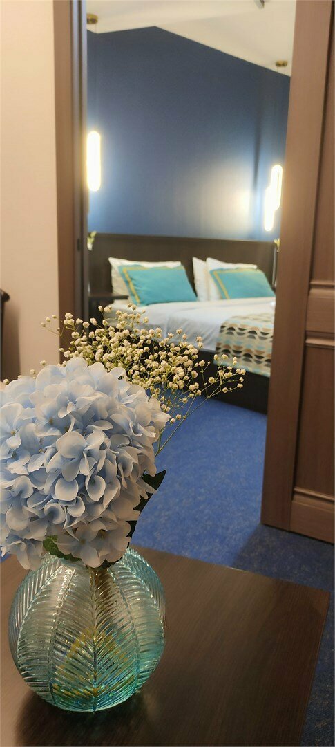 Гостиница Флагман Омск