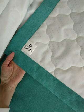 Гостиница Флагман Омск Двухместный номер Делюкс с 1 кроватью-5