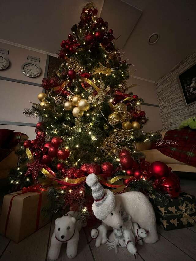 Гостиница Флагман Омск-207