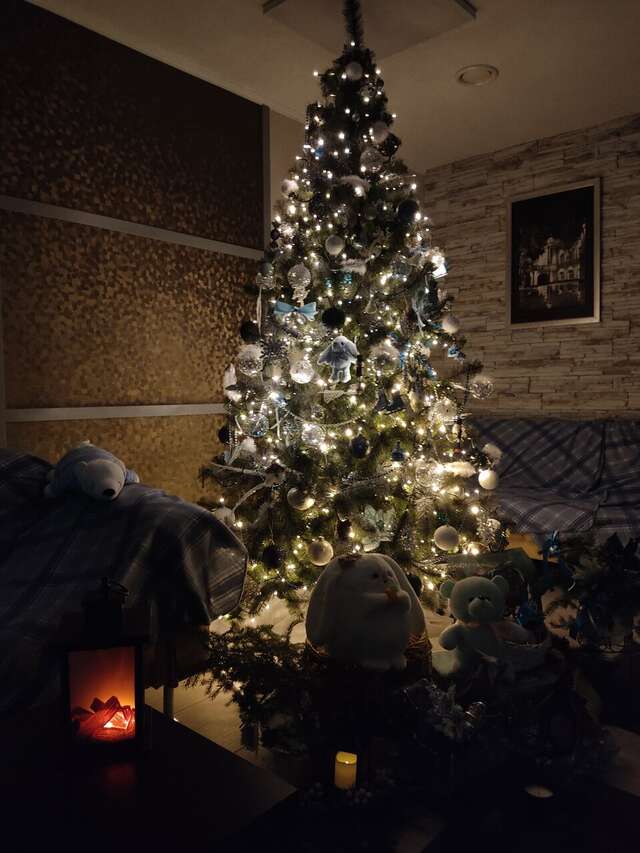 Гостиница Флагман Омск-36